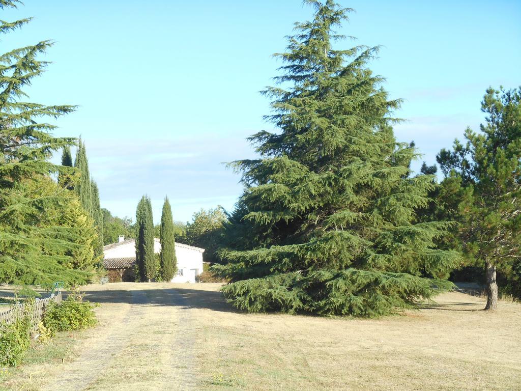 Le Colombier Bed & Breakfast Villeneuve-sur-Lot Dış mekan fotoğraf