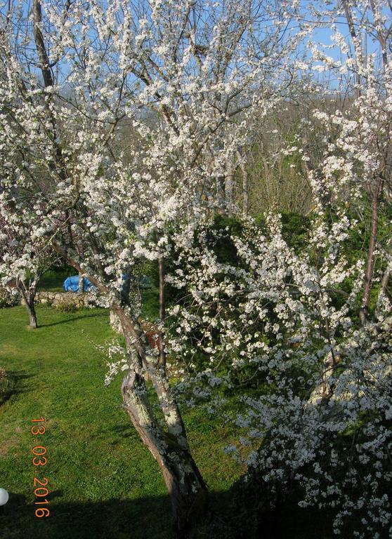 Le Colombier Bed & Breakfast Villeneuve-sur-Lot Dış mekan fotoğraf