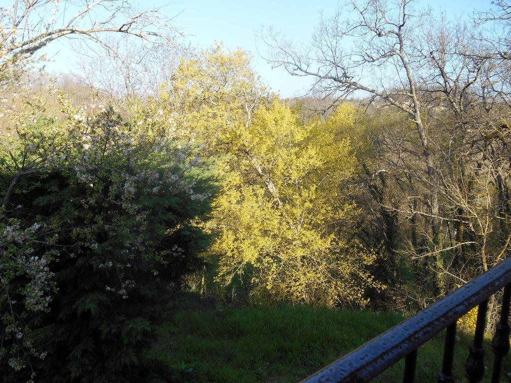 Le Colombier Bed & Breakfast Villeneuve-sur-Lot Dış mekan fotoğraf