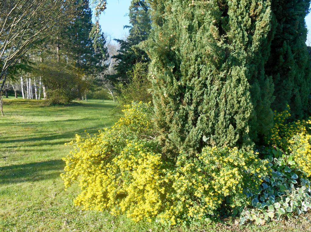 Le Colombier Bed & Breakfast Villeneuve-sur-Lot Dış mekan fotoğraf