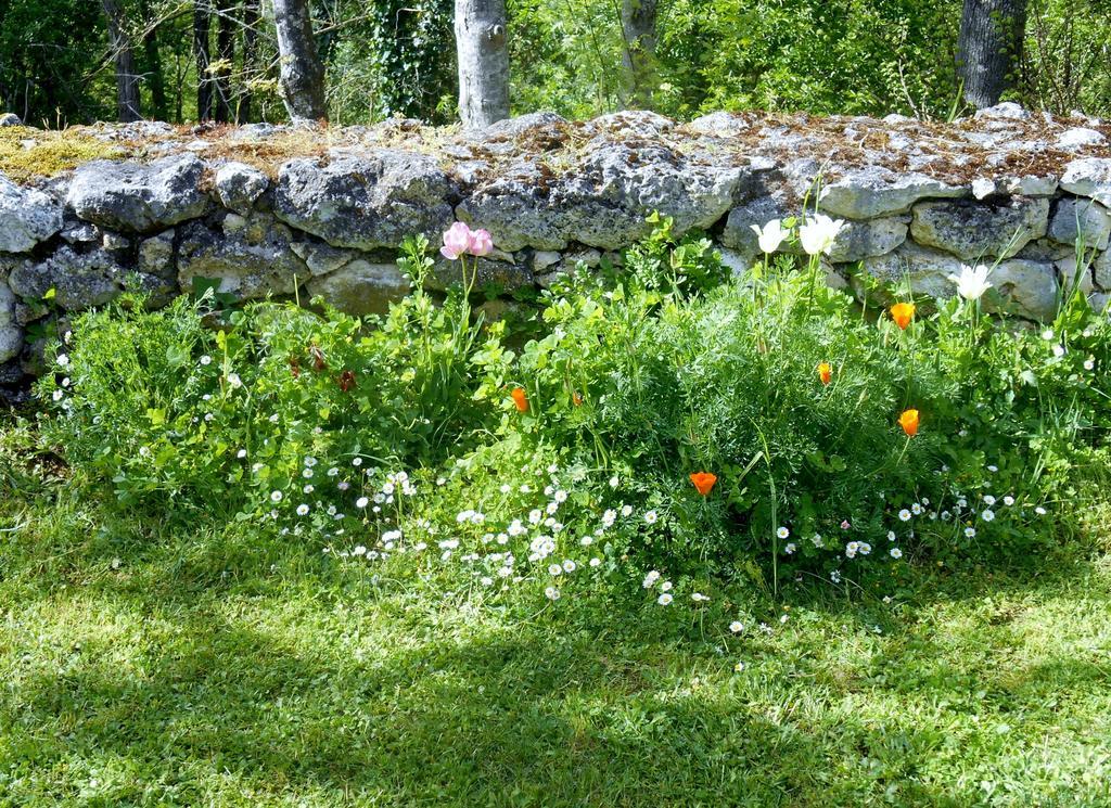 Le Colombier Bed & Breakfast Villeneuve-sur-Lot Dış mekan fotoğraf