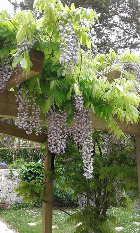 Le Colombier Bed & Breakfast Villeneuve-sur-Lot Dış mekan fotoğraf