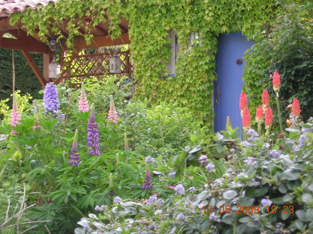 Le Colombier Bed & Breakfast Villeneuve-sur-Lot Dış mekan fotoğraf