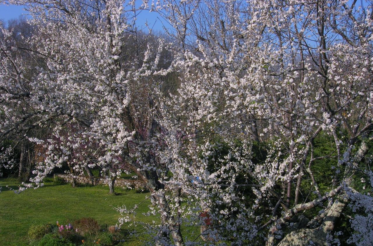 Le Colombier Bed & Breakfast Villeneuve-sur-Lot Dış mekan fotoğraf